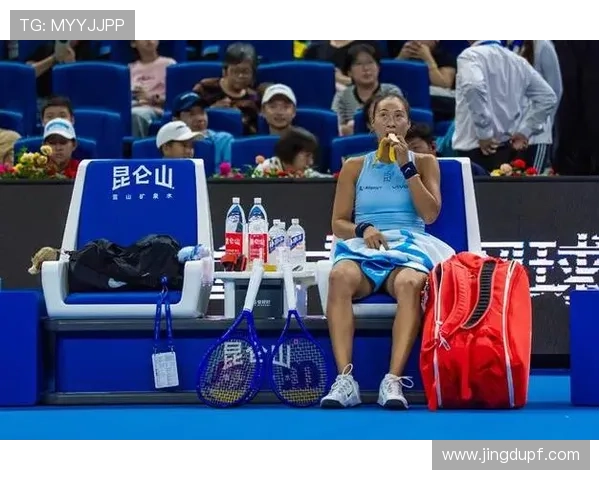 郑钦文因伤退出2025东京WTA500赛引发球迷广泛关注与讨论